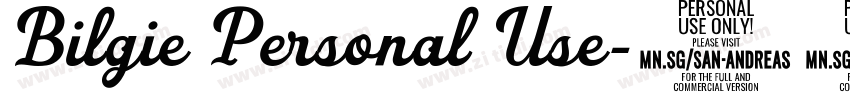 Bilgie Personal Use字体转换